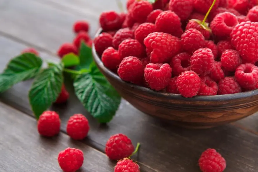 Hidragenix Ingredient